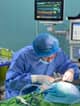 Slider image (10) Dr. Harvard - Plastic Surgery